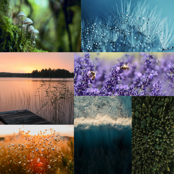 Down to earth | Julekalender 2025