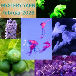 Mystery Yarn | Sock Merino Glitter | Vandmanden | Februar 2026