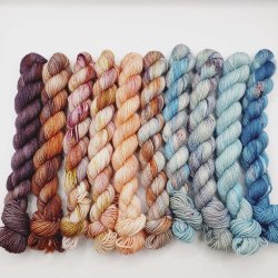 Why Not Bag | Secret 